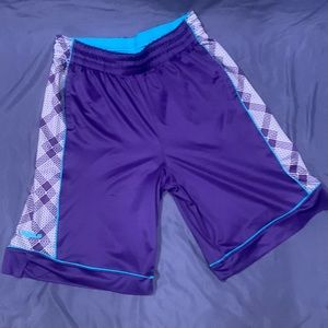 Mens Nike Lebron Purple/Teal Shorts Size Large